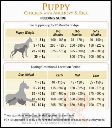 Animalerie Tunisie BonaCibo puppy 3kg-15kg - Chiots - 60 TND - PHENIX