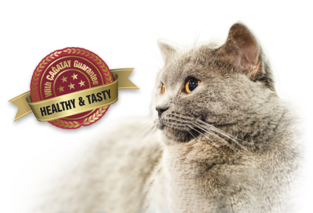 Animalerie Tunisie 3 Boites au bœuf cat adult (400gr x 3) - Boites - 15 TND - PHENIX